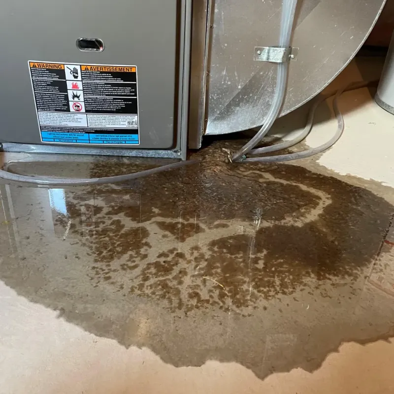 Appliance Leak Cleanup in Malad City, ID